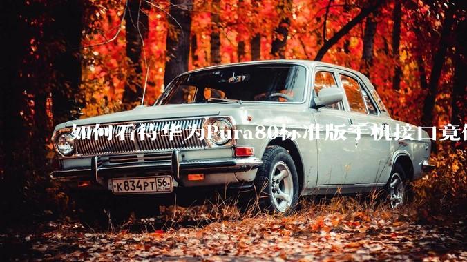 如何看待华为Pura80标准版手机接口竟倒退成USB 2.0？要是也烧了WIFI是不是不好备份数据？