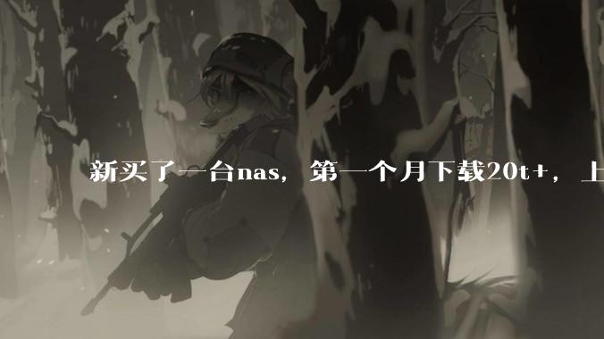 新买了一台nas，第一个月下载20t+，上传5+，不会被网警盯上吧?